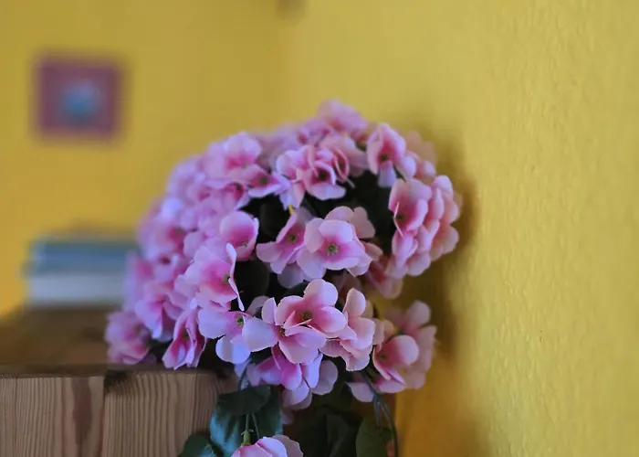 Tatil Evi Gerhards Strandhaus Seaside Loissin